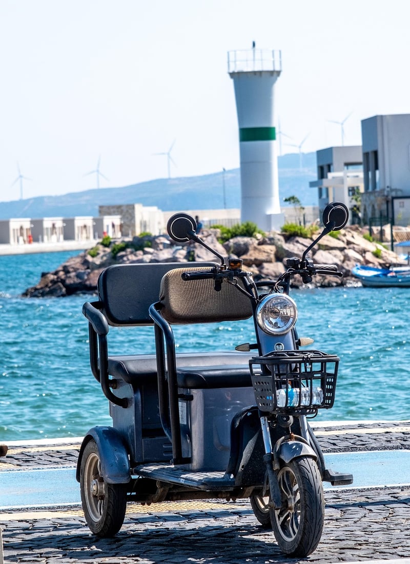 Electric Vehicle